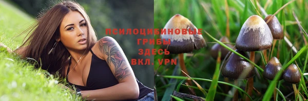 mdpv Абинск