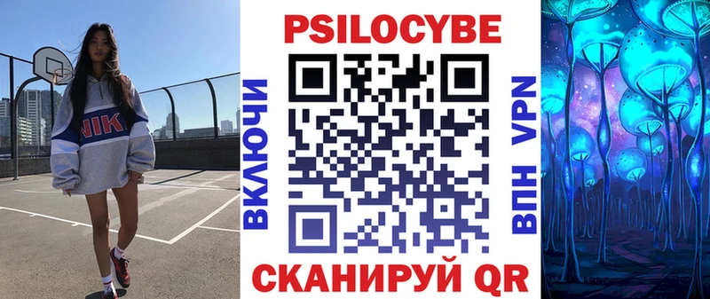 где продают Приволжск Псилоцибиновые грибы Psilocybe